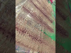 টাইটানিয়াম খাদ চশমা ফ্রেম পিভিডি লেপ মেশিন